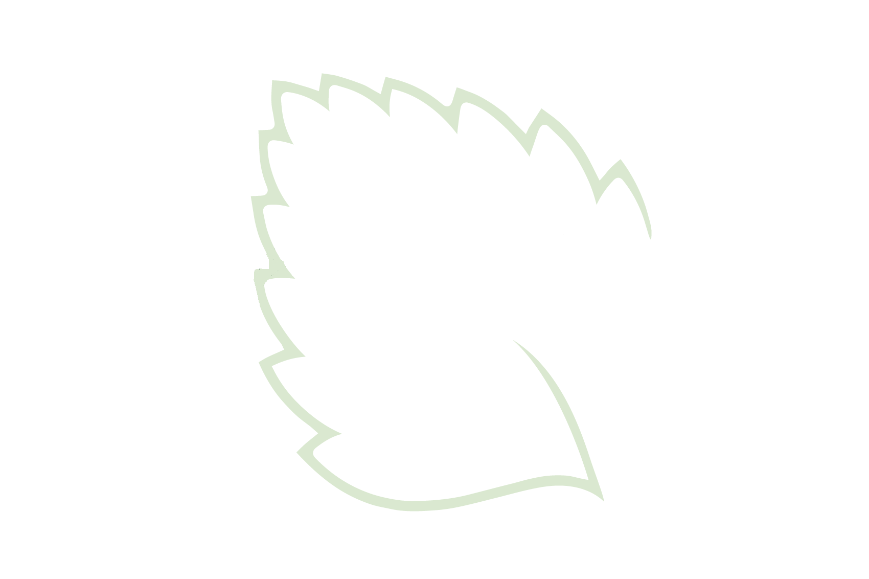 Hierbabuena, herbolario y parafarmacia